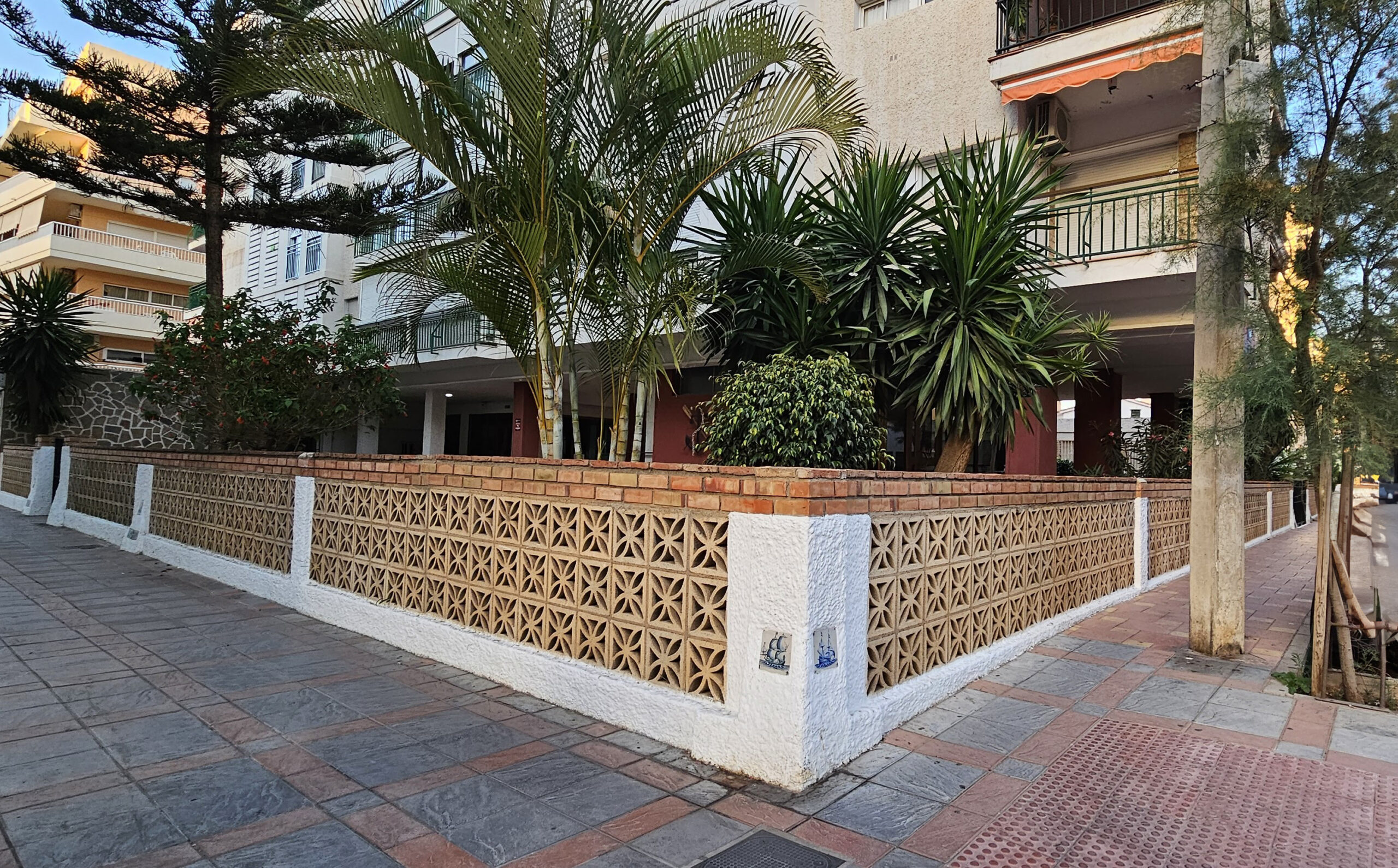 Celosía Margarita - Imagen 2